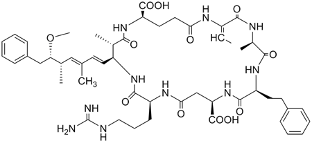 [D-Asp3, (E)-Dhb7] Microcystin-HphR
